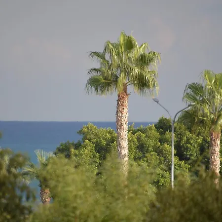 Modern Near Mckenzie 아파트 *