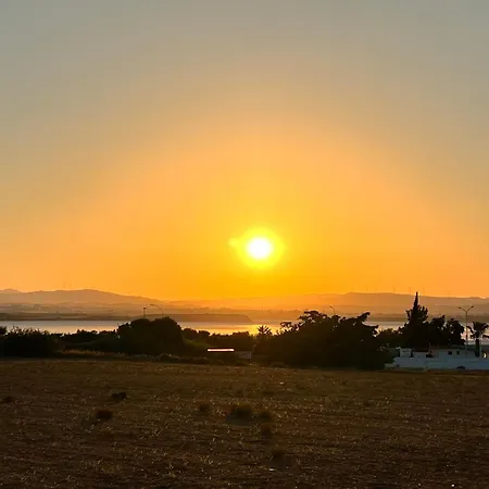 Modern Near Mckenzie 라르나카